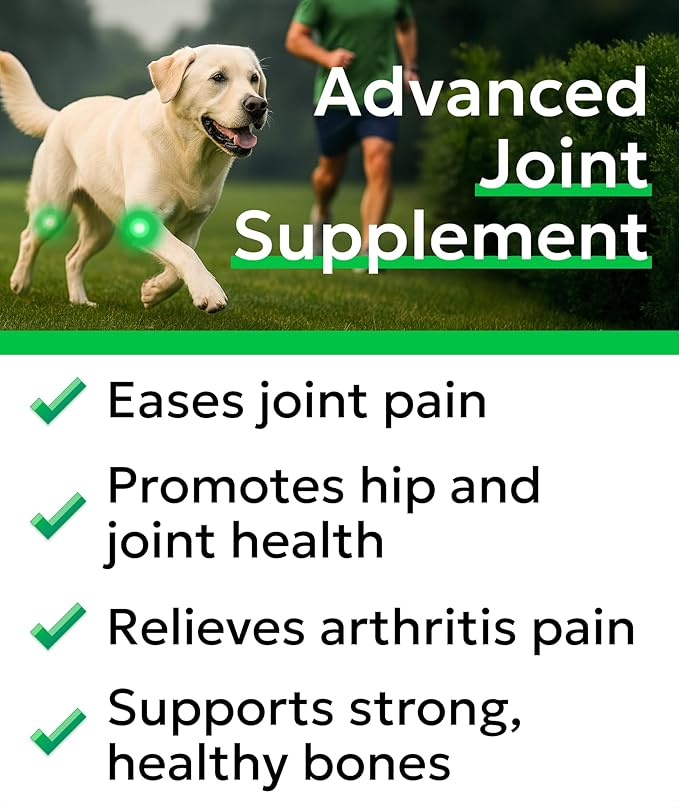 Bark&Spark Glucosamine Chondroitin Dog Hip & Joint Supplement - Joint Pain Relief - Hip & Joint Chews - Joint Support Large Small Breed - Senior Doggie Vitamin Pill Joint Health (120 Treats - Chicken)