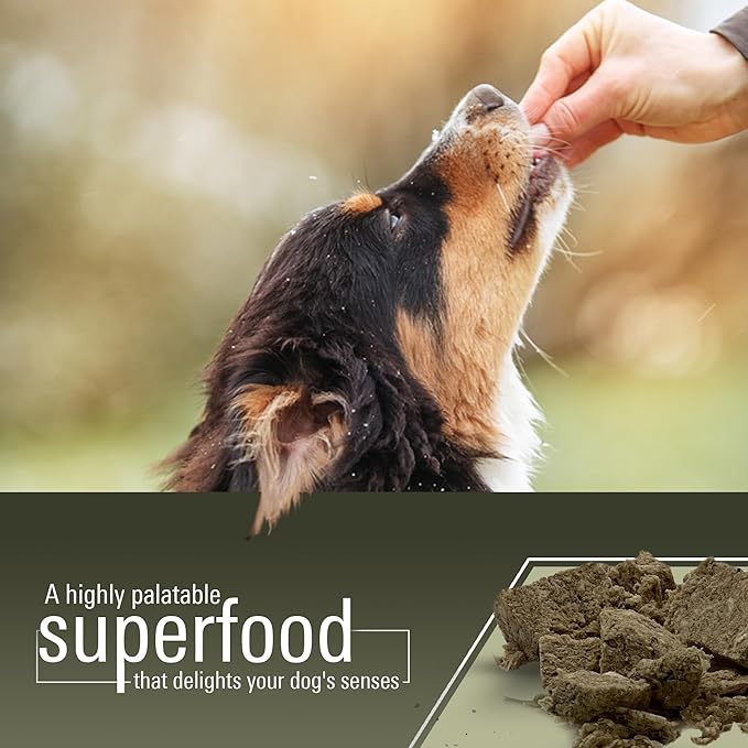 Freeze Dried Beef Tripe Dog Treats  Raw, Single Ingredient, Grain Free, Natural & Organic Treats for Dogs & Cats