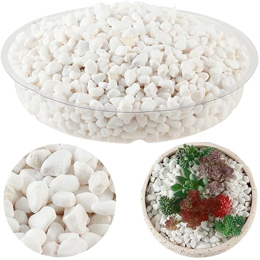 11 Lbs Natural River Rocks for Plants 0.3” Small Decorative Pebbles for Plant Pot Landscaping Garden Stones White Aquarium Gravel, Mini Vase Filler, Terrarium Rocks in Bulk, Home Decor