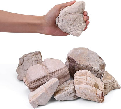 2-4 Inches Natural Pagoda Rock 10 PCS Aquarium Rocks for Aquascaping, Aquarium Landscaping, Terrariums, Fish Tank Decoration, Vivariums, Paludarium, Reptile and Amphibian Enclosures