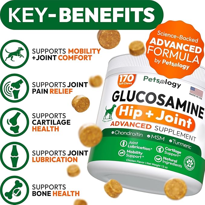 (2 Pack) Glucosamine for Dogs - 340 Mobility Chews - Advanced Hip and Joint Supplement for Dogs - Glucosamine Chondroitin - MSM - Joint Pain Relief - Made in USA