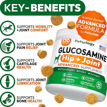 (2 Pack) Glucosamine for Dogs - 340 Mobility Chews - Advanced Hip and Joint Supplement for Dogs - Glucosamine Chondroitin - MSM - Joint Pain Relief - Made in USA