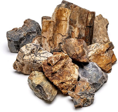 SubstrateSource Natural Stone for Aquarium, Terrarium, Paludarium, Reptile Enclosures - Set of Decorative Rocks for Landcapes, Aquascaping, Fish Tank Decor (Petrified Wood Stone, 10 Pounds, 2-6)