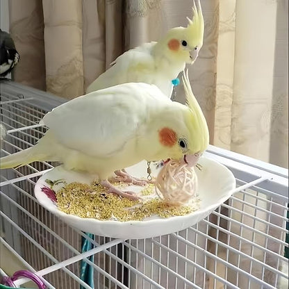 HANZE Bird Mirror Swing with Rattan Ball | Natural Wood Parrot Toy with Metal Hooks for Macaws, Cockatiels, Parakeets, Lovebirds | Safe Chewing & Mental Stimulation - 2 Pack