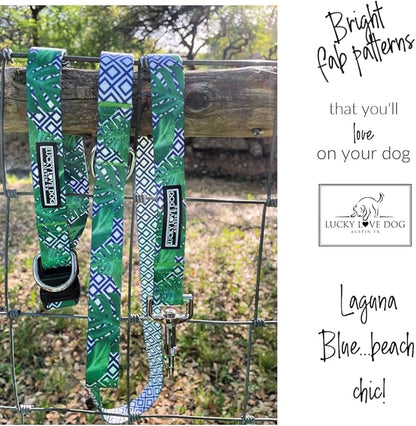 Lucky Love Dog Collar, Beautiful & Vivid Pattern Medium Boy Dog Collars, Easy On & Off Clasp Accessory (Blue Laguna, M)