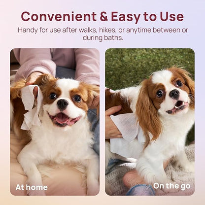 HICC PET Cleaning Deodorizing Wipes for Dogs & Cats, Vet Recommended Nourishes Smoothes Fur Pet Grooming Wipes with Fermented Coconut Oil, Hypoallergenic Dog Wipes for Paws and Butt, Face, Body