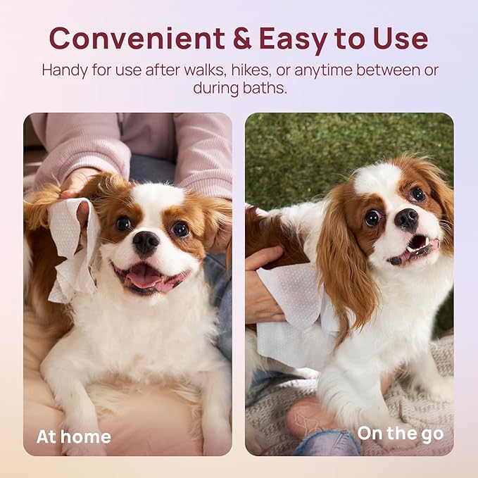 HICC PET Cleaning Deodorizing Wipes for Dogs & Cats, Vet Recommended Nourishes Smoothes Fur Pet Grooming Wipes with Fermented Coconut Oil, Hypoallergenic Dog Wipes for Paws and Butt, Face, Body