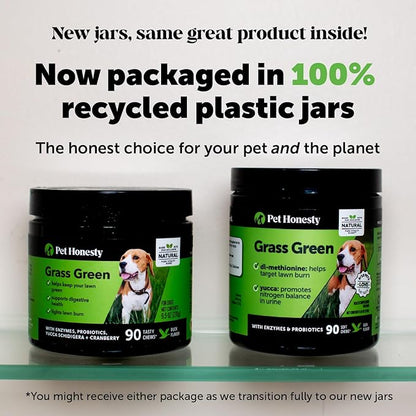 Pet Honesty Grass Green - Pee Grass Spot Saver Caused by Dog Urine, Gut Health Probiotics, Dog Urine Neutralizer for Lawn, Grass Burn Spot Chews, Cranberry, Apple Cider Vinegar, Dog Rock (Turkey 90ct)