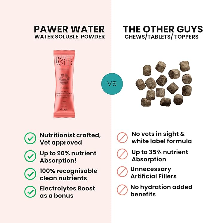 Dog Gut Health Supplement with Salmon Oil, Prebiotics & Probiotics | Digestion Support Powder for Dogs | Sensitive Stomach, Loose Stool & Gas Relief | Natural Hydration Drink Mix