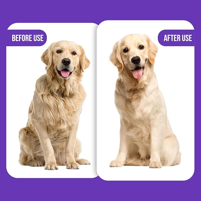 Self-Cleaning Gentle Slicker Brush, Sensitive Skin Gentle Dog Brush, for Big Dog and Large Breed, to Remove Loose Hair, Mats, Dirt - Pain Free Grooming