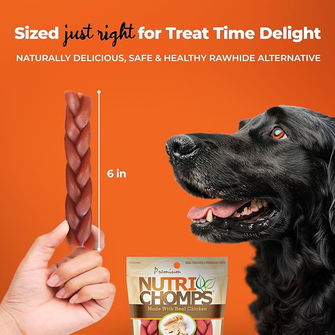 NutriChomps Dog Chews, 6-inch Braids, Easy to Digest, Rawhide-Free Dog Treats, Healthy, 4 Count, Real Chicken flavor