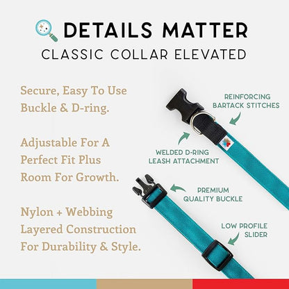 Dog Collar, Lightweight, Heavy Duty Dog Collar with Buckle, Fabric Pet Collar, Breathable & Adjustable Puppy Collar, Dog Collars for Small Dogs (Turquoise, Small - 8-12 Inch) - Wildebeest