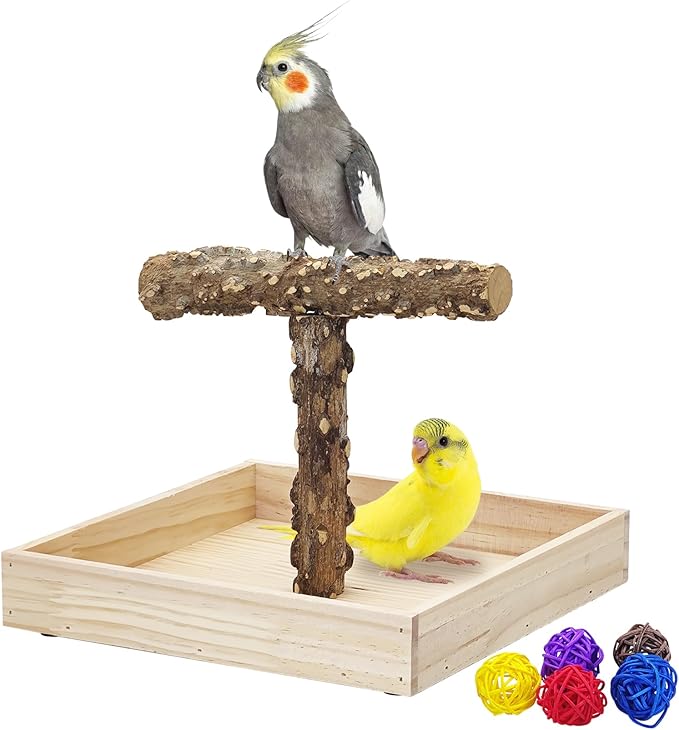 BNOSDM Portable Bird Perch Stand with Potty Tray, Natural Wood Tabletop Training Gym Parrot Playground Toy for Budgies, Cockatiels, Lovebirds,Conures
