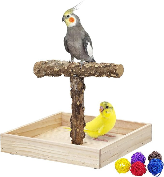 BNOSDM Portable Bird Perch Stand with Potty Tray, Natural Wood Tabletop Training Gym Parrot Playground Toy for Budgies, Cockatiels, Lovebirds,Conures