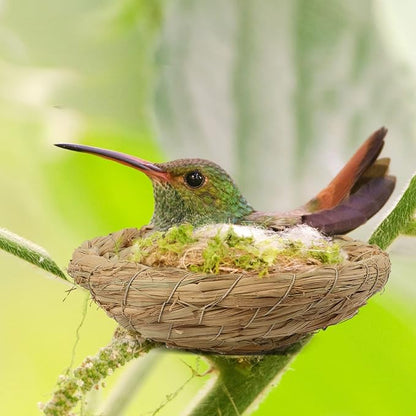 Patelai 4 Pcs Bird Nest Handmade Woven Flat Base Dove Bird House Breeding Nest Small Animal Cage Accessories for Pigeon Parrot Budgie Parakeet Cockatiel Hamster Gerbil Pig(3.54-4.72 Inch)