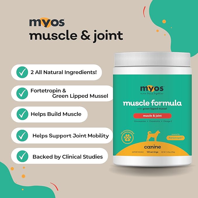 MYOS Muscle & Joint Powered by Fortetropin with Green Lipped Mussel (396 gr)