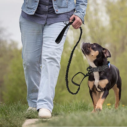 KCUCOP Tactical Dog Collar, Heavy Duty Dog Collar with Handle and Metal Buckle, Military Thick Dog Collars for Medium and Large Dogs(Black-Reflective Set-M, 1 Patch)