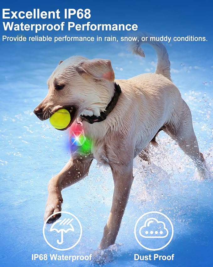 Dog Lights for Night Walking, 2 Pack 4 Modes Dog Collar Light, Rechargeable Dog Walking Light for Nighttime Clip On, IP68 Waterproof Safety Light for Running, Cycling, Camping (White)