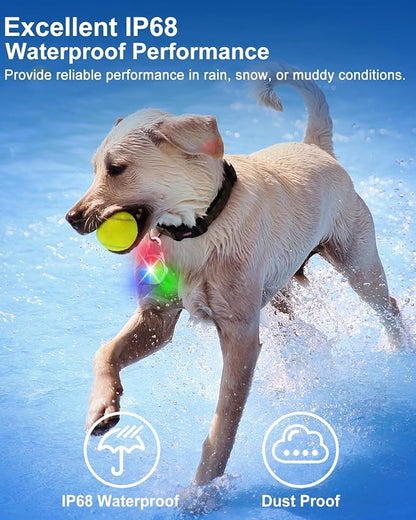 Dog Lights for Night Walking, 2 Pack 4 Modes Dog Collar Light, Rechargeable Dog Walking Light for Nighttime Clip On, IP68 Waterproof Safety Light for Running, Cycling, Camping (White)