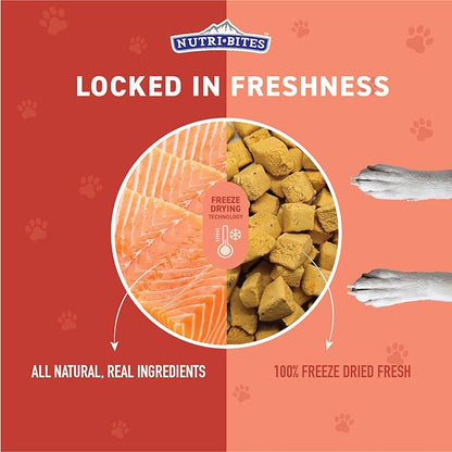 NutriBites Freeze Dried Salmon Dog & Cat Treats | Healthy Pet Training Treats or Food Topper | All Natural, 1 Single Animal Protein, High Protein | Premium Bulk Value Pack, 14 oz