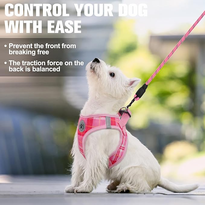 BEAUTYZOO Small Dog Harness and Leash Set, Step in No Chock No Pull Soft Mesh Dog Harnesses Reflective for Small Medium Puppy Dogs and Cats, Plaid Dog Vest Harness for S M Pets, Light Pink XS