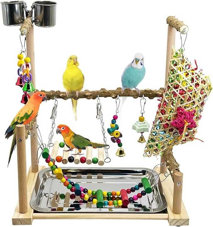 kathson Parrot Play Stand Parakeet Playground Bird Jungle Gym Wood Conure Playstand Hanging Chewing Toys with Feeder Cups and Swings Bird Cage Accessories for Cockatiel Lovebirds Budgie