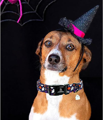 Lionheart glory Dog Collars Fall Halloween Pumpkin Collar Dog Heavy Comfortable Adjustable Dog Collar for Large Collar Dogs Girls or Boys Dog Collar Cute Pet Gift