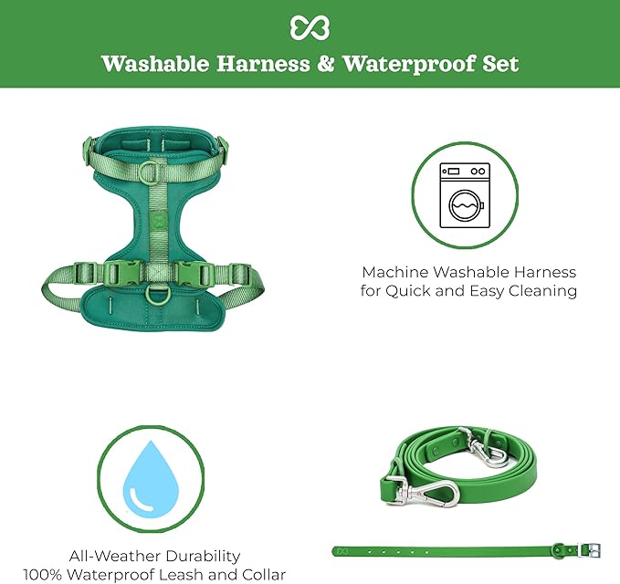 Dog Harness and Leash Set | BearBone No Pull Dog Harness and Waterproof Dog Collar and Leash Set | Heavy Duty Dog Harness, Leash and Collar | Small Dog Harness and Leash Set (Green, Small)