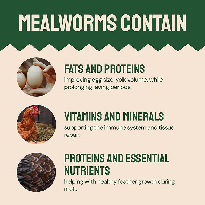 Dried Mealworm Bird Food - 20 Lb Bulk Pack - High Protein Poultry & Chicken Feed - Duck Food & Wild Bird Feed & Quail Treats