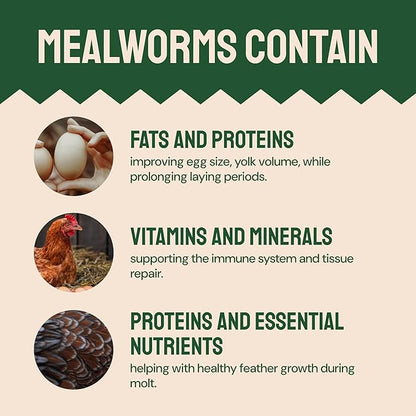 Chicken Feed Dried Mealworms - 5 Lb, Non-GMO & Organic - High-Protein Mealworms for Wild Birds & Ducks, Chicken Treats & Bird Food