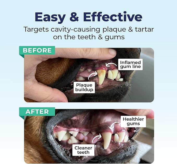 Vetnique Dentabliss - Dog Teeth Cleaning Finger Mitt Dental Wipe - Dog Plaque and Tartar Prevention with Brushing Beads - Convenient Peppermint Dog Teeth Wipes, Dog Breath Freshener