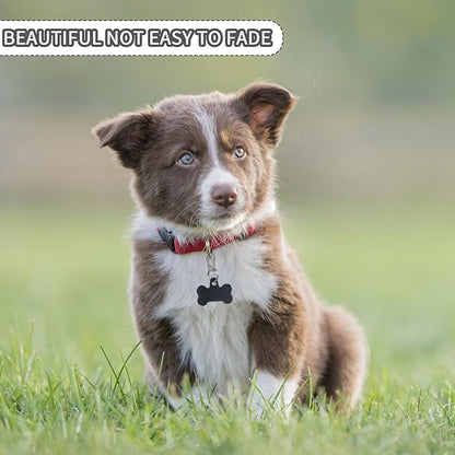 Dog Tag Clip for Collar 2 Pcs,Dog Tag Holder for Pet Collar, Secure Dog Tag Ring, Micro Carabiner, Pet Tag Clip - Stainless Steel, Dog Tag Holder Silvery