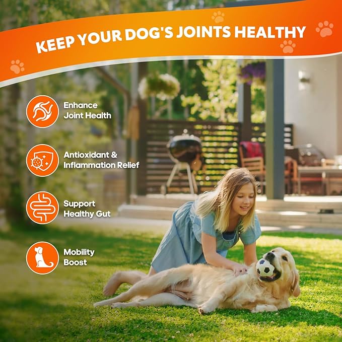 Hip and Joint Supplement for Dogs, Joint Pain Relief Supplement with MSM, Glucosamine, Chondroitin, Support Mobility, Health Chews for Dog, 120 Chews