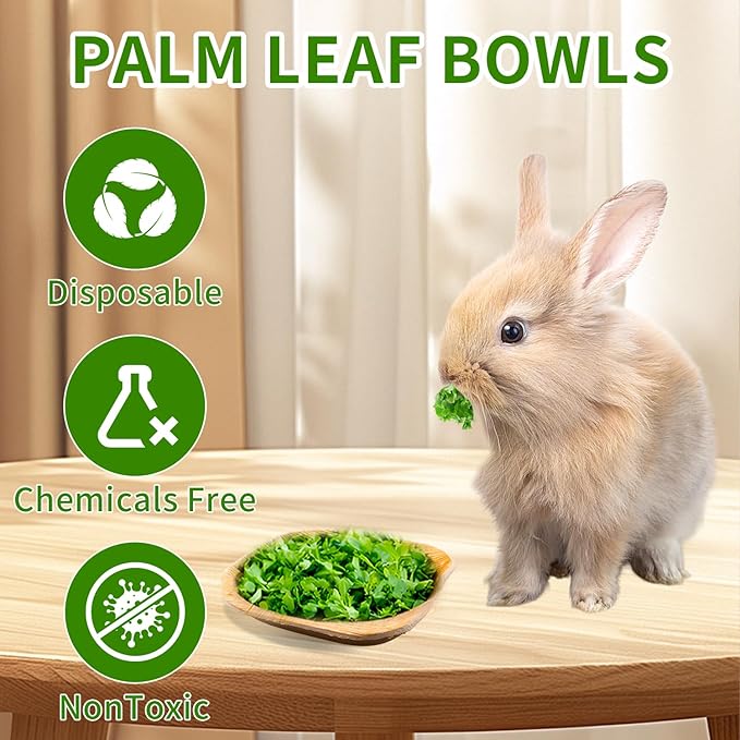 30 Pcs Disposable Palm Leaf Bowl 4" Square Bowls for Rabbits,Chewable Dish for Rabbits,Bunnies,Hamsters,Parrot