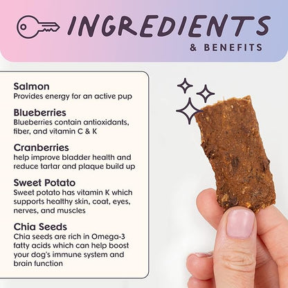 Bundle x Joy Ride & Vibe Dog Treats Salmon Jerky Snack Bars, 16 oz Bag, Puppy Training Treats, Natural Superfood Grain Free, Wild Caught Salmon, Superfoods, Corn, Poultry & Soy Free