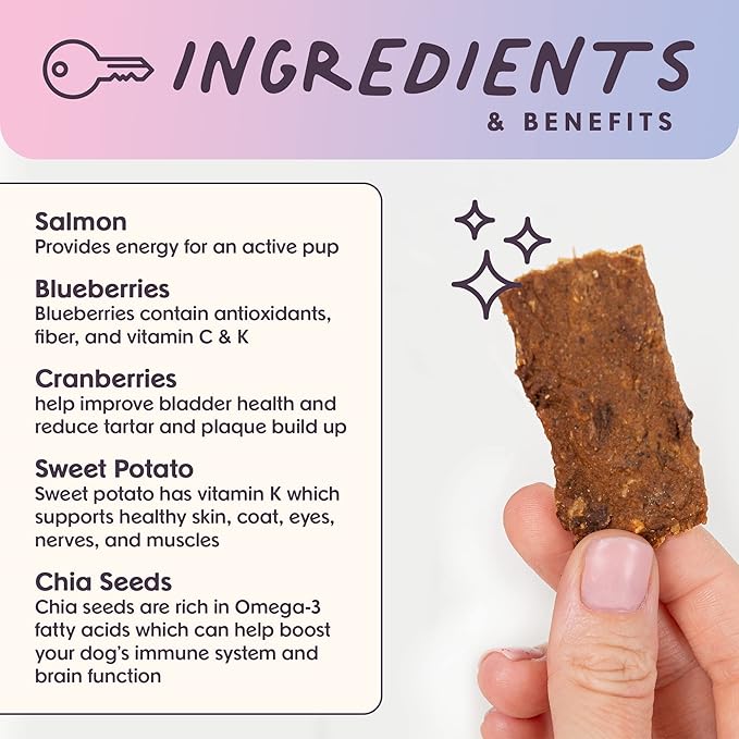 Bundle x Joy Ride & Vibe Dog Treats, Wild Caught Salmon Jerky, Snack Bars, Puppy Training Treats, Natural Superfood, Grain, Corn, Poultry & Soy Free, 5oz