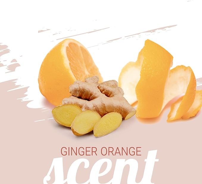 Green Groom Ginger Orange Aromatherapy Dog Shampoo, 1 Gallon | All Natural Ingredients, Ginger Orange Essential Oils, Adds Vibrant Shine, Calming and Relieves Tension