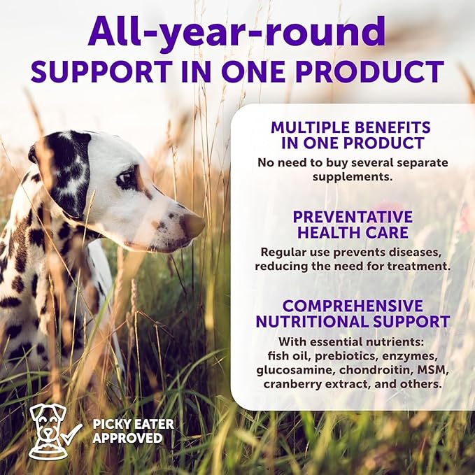 20 in 1 Dog Multivitamin with Glucosamine - Chewable Dog Vitamins and Supplements - Senior & Puppy Multivitamin Chews for Pet Hip & Joint Support, Immunity, Mobility, Skin, Digestion - 70 Soft Treats