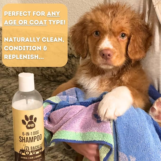 Natural Pet Shampoo - No. 40 Premium 6 in 1 Oatmeal Shampoo for Dogs - Moisturize, Deodorize & Soothe Sensitive Skin - Coconut, Aloe & Almond Oil Dog Wash & Pet Care