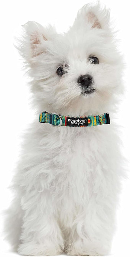 Downtown Pet Supply - Best, Cute & Fancy Dog Collar - Lightweight Adjustable Dog Collar with Quick Buckle & D-Ring - Hand Wash Safe - Tribal - L - Large Dog Collar
