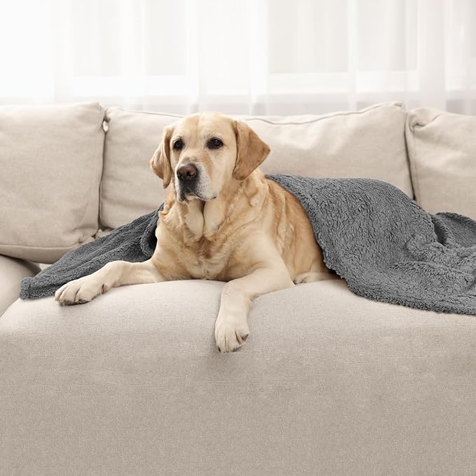 furrybaby Dog Blanket Soft Dog Blankets for Large Dogs Puppy Essentials Washable Sherpa Fleece Cat Blanket 41x65 Inches for Bed Furniture Couch Sofa (X Large, Grey)