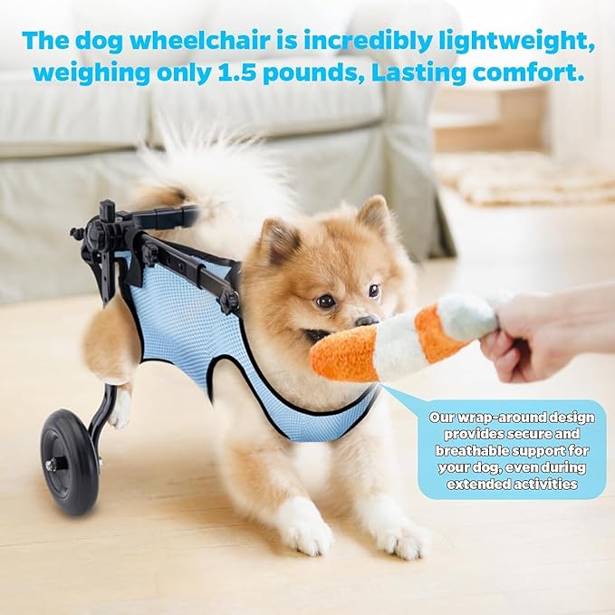 Dog Wheelchair for Back Legs, Dog Wheelchair Cart, Doggy/cat Wheelchair with Disabled Hind Legs Walking, Mobility Aids for Large Pets Hind Limbs, Dog Carts with Wheels, Light Weight, XXL