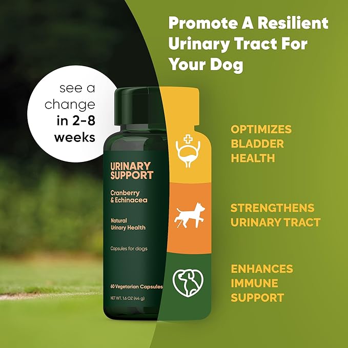 Rooted Owl Urinary Support - Echinacea and Cranberry Supplement for Dogs - Dog UTI Prevention - 60/ct