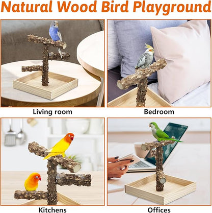 BNOSDM Portable Bird Perch Stand with Potty Tray, Natural Wood Tabletop Training Gym Parrot Playground Toy for Budgies, Cockatiels, Lovebirds,Conures Canaries