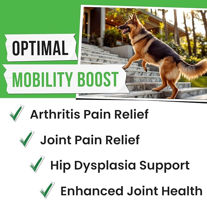 Hemp Treats - Dog Joint Supplement - Mobility Support Chews w/Glucosamine Chondroitin, Turmeric, MSM - Hip & Joint Chews - Joint Pain Relief Treats - 120Ct