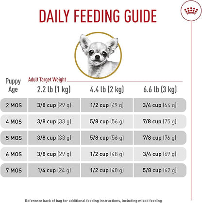 Royal Canin Breed Health Nutrition Chihuahua Puppy Dry Dog Food, 2.5 lb Bag