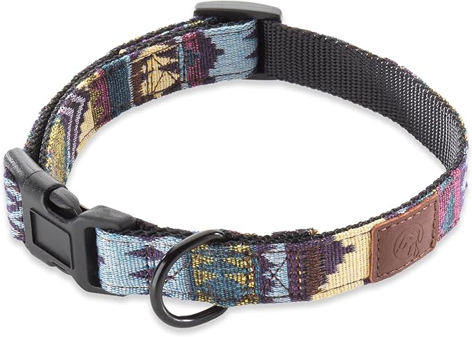 Embark Urban Dog Collar  Dog Collar Stylish & Durable Nylon Dog Collar for Large Dogs, Small Dogs & Medium Dogs.Comfortable Pet Collar Strong Buckles for Any Size Breed (Azure, Large)