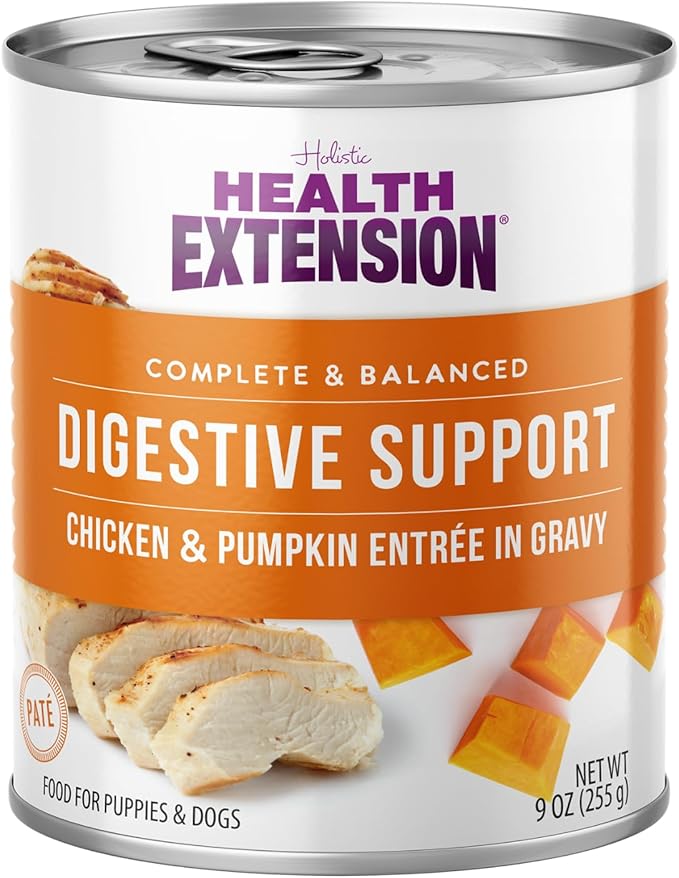 Health Extension Wet Dog Food Chicken & Pumpkin Entrée in Gravy, 9 oz - Digestive Support with Superfoods & Antioxidants for Immune Support (Case of 12 Cans)