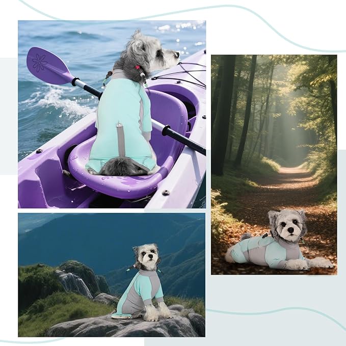 Dog Sun Protection Shirt, UV Shirt for Dogs, Lightweight Breathable Cooling Vest, Quick Dry Dog Summer Clothes for Small Dogs