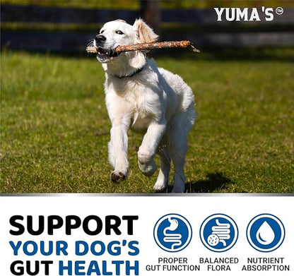 YUMA'S 2 Pack Probiotics for Dogs and Digestive Enzymes - Dog Probiotics Chews - Dog Probiotic - Anti Diarrhea, Upset Stomach & Gas Relief, Constipation, Canine Prebiotic - Pet Fiber Supplement